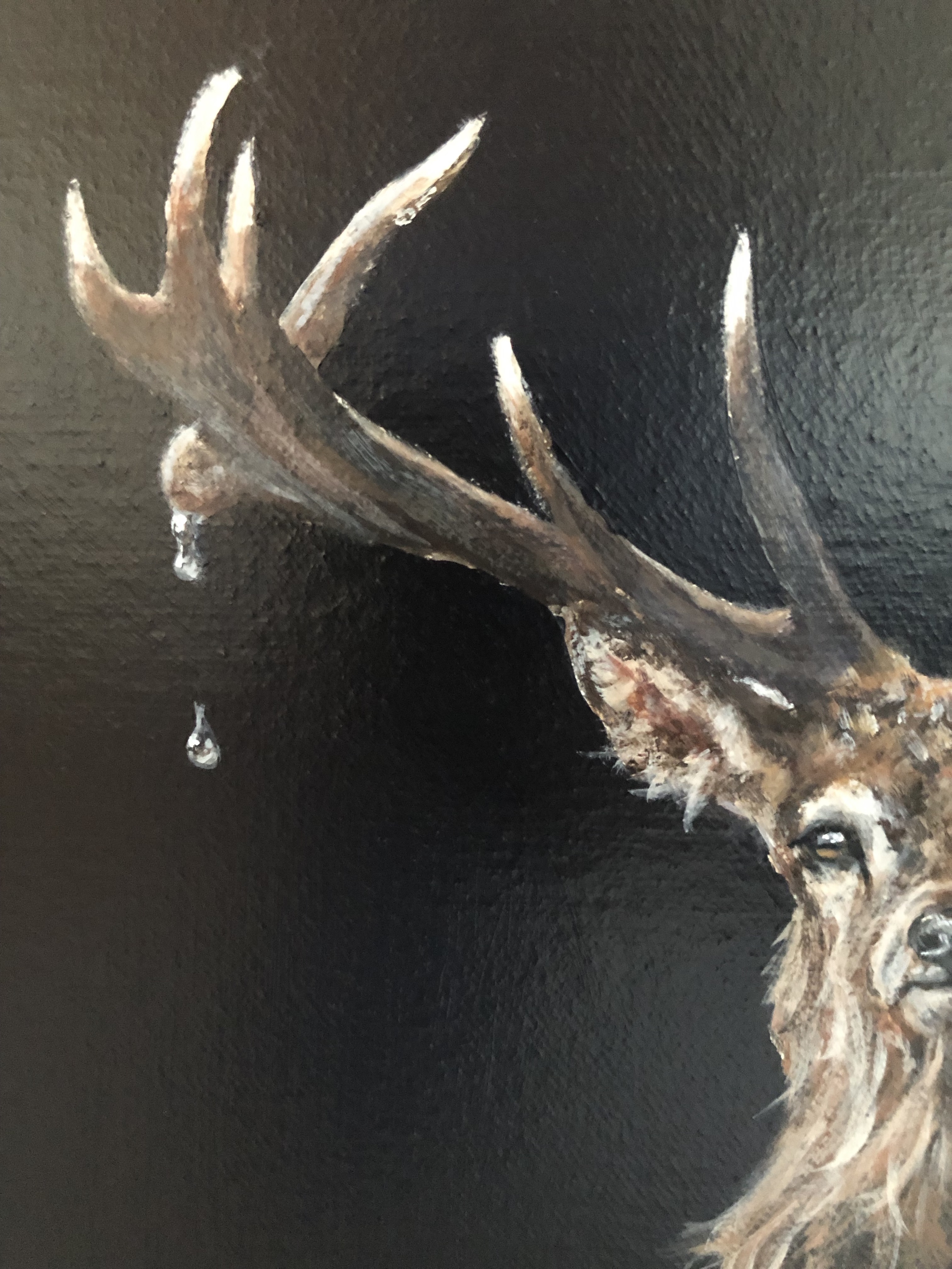 EcK3qLOnR22n7Jsc1dDOfA